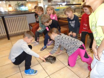 Přírodovědná stanice – Život ježka tř. Brouček