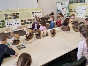 Přírodovědná stanice – Stopy zvířat