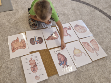 Lidské tělo a smysly