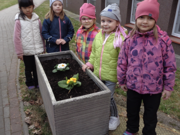 Broučci osazují truhlíky