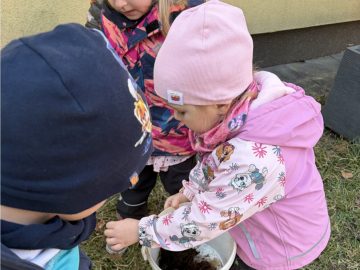 První jarní květiny