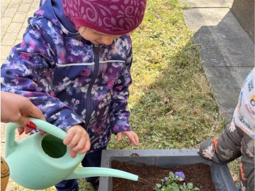 Sázení jarních květin